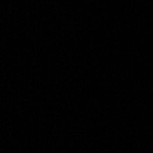 Meet your Posher, Samuel